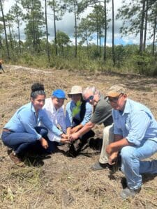 Group kneeling to plant a seedling