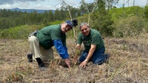 Planting a seedling at the reforestation site