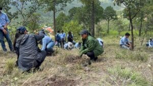 Volunteers planting seedlings on a hillside