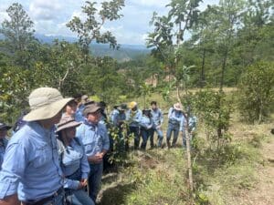 Volunteers gathered at the planting site